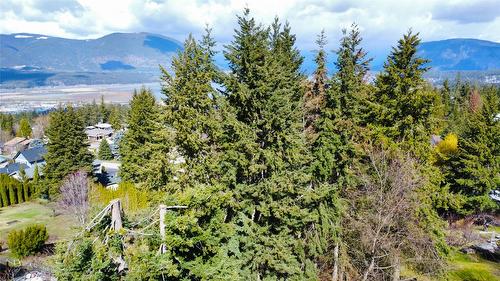 1711 12 Avenue, Salmon Arm, BC - Outdoor With View