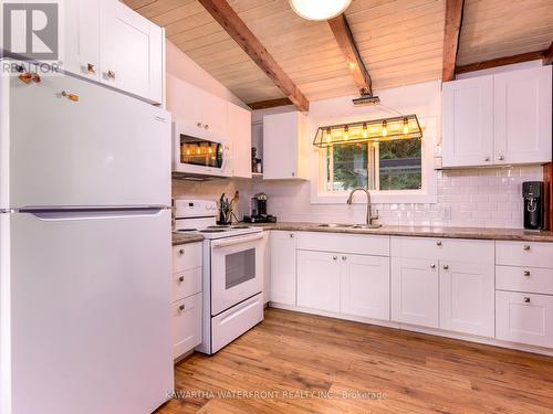 8 Daisy Trail, Kawartha Lakes, ON - Indoor Photo Showing Kitchen With Double Sink