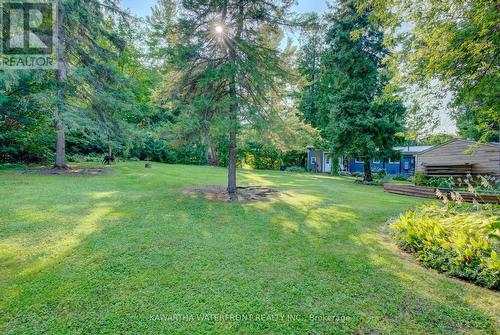 8 Daisy Trail, Kawartha Lakes, ON - Outdoor