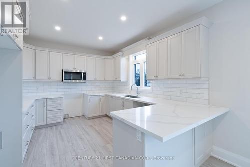 241 Leitch Street, Dutton/Dunwich (Dutton), ON - Indoor Photo Showing Kitchen With Upgraded Kitchen