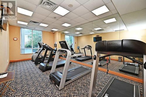 207 - 29 Northern Hts Drive S, Richmond Hill, ON - Indoor Photo Showing Gym Room