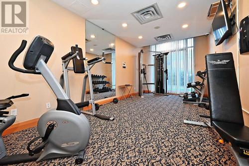 207 - 29 Northern Hts Drive S, Richmond Hill, ON - Indoor Photo Showing Gym Room