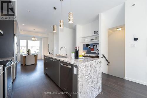 118 Genuine Lane, Richmond Hill, ON - Indoor Photo Showing Kitchen With Stainless Steel Kitchen With Upgraded Kitchen