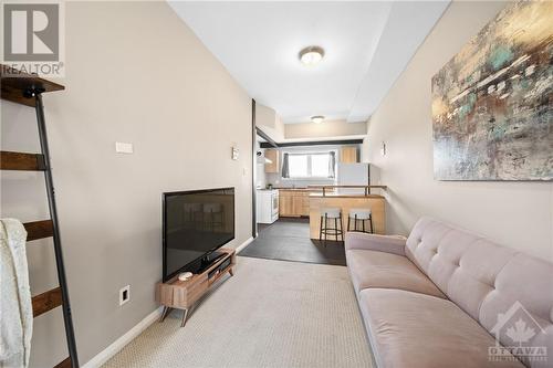 Living Room (Lower Unit B) - 469 Booth Street, Ottawa, ON - Indoor