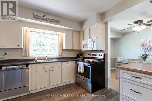 14 Glenburnie Crescent, London, ON - Indoor Photo Showing Kitchen With Double Sink