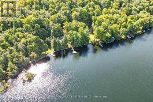 3158 Spring Lane N, Smith-Ennismore-Lakefield, ON - Outdoor With Body Of Water With View