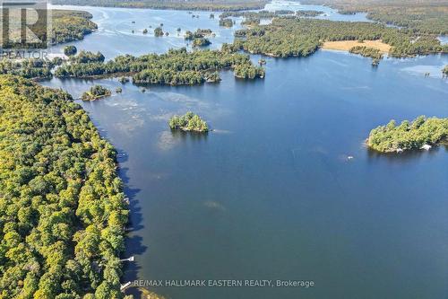 3158 Spring Lane N, Smith-Ennismore-Lakefield, ON - Outdoor With Body Of Water With View