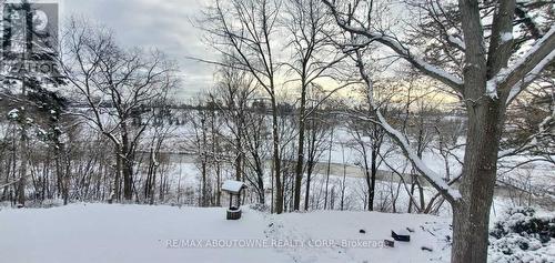 2204 Shardawn Mews, Mississauga (Erindale), ON - Outdoor With View