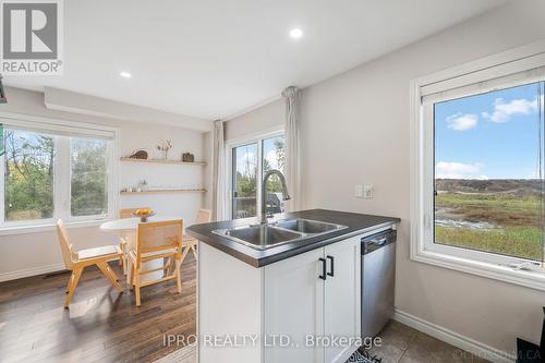 27 Mayland Trail, Hamilton, ON - Indoor Photo Showing Kitchen With Double Sink