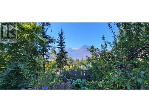 515 9Th Avenue, New Denver, BC - Outdoor