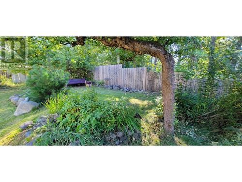 515 9Th Avenue, New Denver, BC - Outdoor