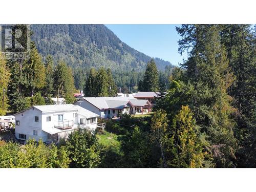 515 9Th Avenue, New Denver, BC - Outdoor With View