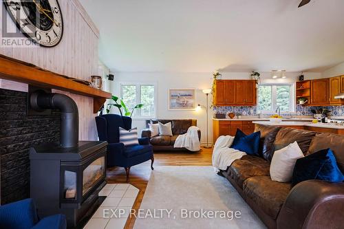 506097 Highway 89, Mulmur, ON - Indoor Photo Showing Living Room With Fireplace