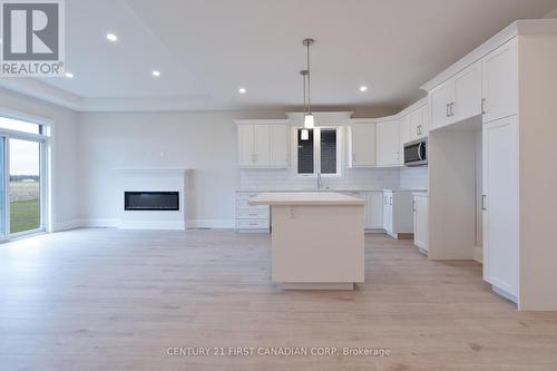 242 Leitch Street, Dutton/Dunwich (Dutton), ON - Indoor Photo Showing Other Room With Fireplace