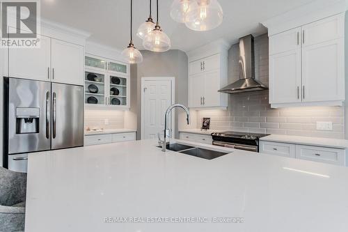 27 Spachman Street, Kitchener, ON - Indoor Photo Showing Kitchen With Double Sink With Upgraded Kitchen