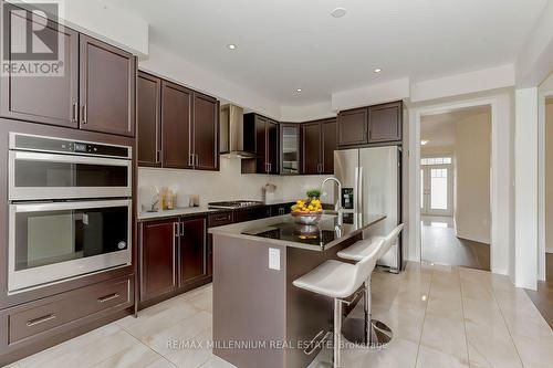 259 Bedrock Drive, Hamilton, ON - Indoor Photo Showing Kitchen With Upgraded Kitchen