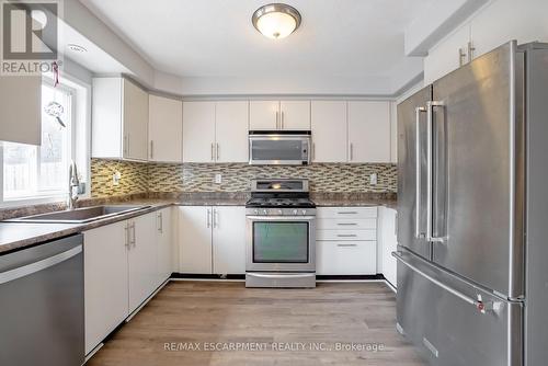 93 Bradley Avenue, Hamilton (Binbrook), ON - Indoor Photo Showing Kitchen With Double Sink With Upgraded Kitchen