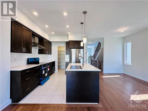 1042 Acoustic Way, Ottawa, ON - Indoor Photo Showing Kitchen With Double Sink