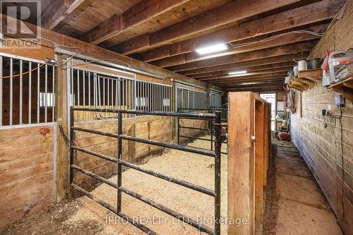 6845 19Th Side Road, King, ON - Indoor Photo Showing Basement