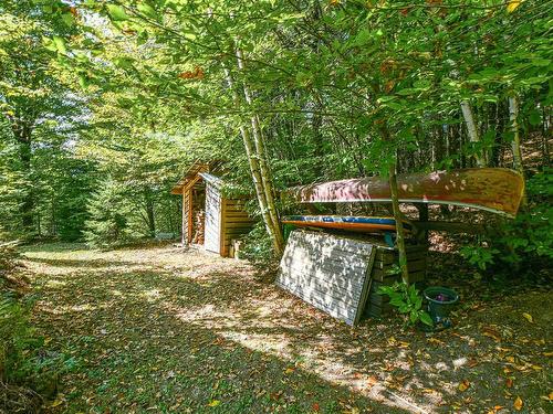 Backyard - 439 Ch. Du Roc, Saint-Sauveur, QC - Outdoor