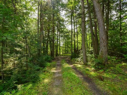 ExtÃ©rieur - 670 Ch. Blackburn, Val-Des-Monts, QC - Outdoor