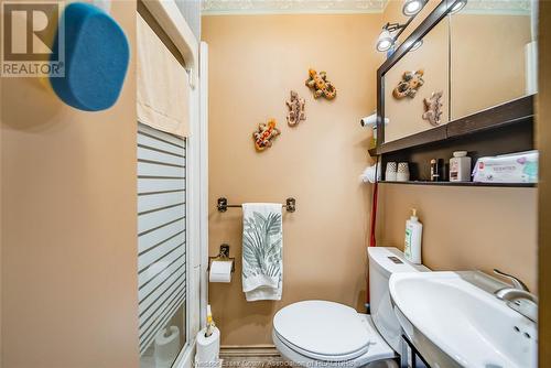 388 County Rd 27 East, Lakeshore, ON - Indoor Photo Showing Bathroom