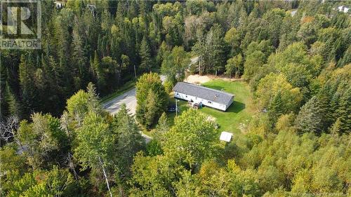 3316 Rte 585, Newbridge, NB - Outdoor With View