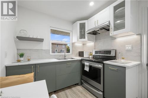 33 3 Avenue, Cambridge, ON - Indoor Photo Showing Kitchen With Double Sink