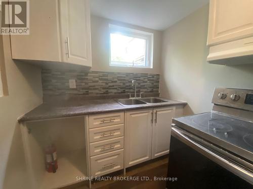 Lower - 676 Victoria Street, London, ON - Indoor Photo Showing Kitchen With Double Sink