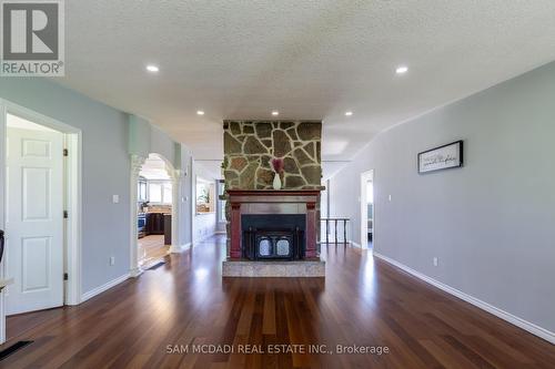 53 Guyatt Road, Hamilton, ON - Indoor Photo Showing Living Room With Fireplace