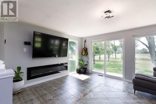 53 Guyatt Road, Hamilton, ON - Indoor Photo Showing Living Room With Fireplace