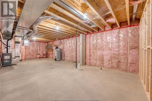 66 York Boulevard, Kingsville, ON - Indoor Photo Showing Basement