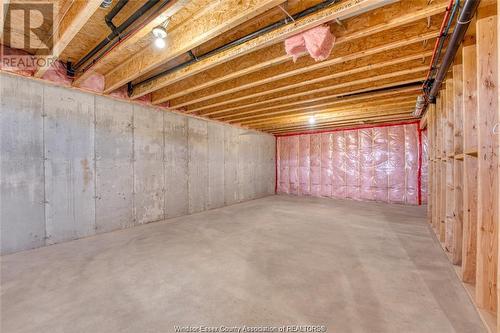 66 York Boulevard, Kingsville, ON - Indoor Photo Showing Basement