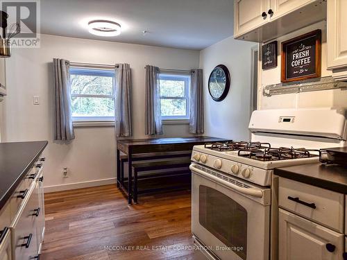 95 Cedar Drive, Trent Hills (Hastings), ON - Indoor Photo Showing Kitchen