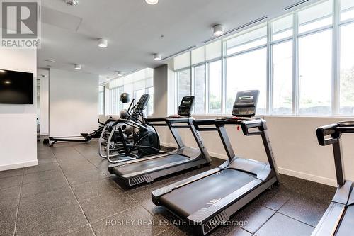 513 - 10 Deerlick Court, Toronto, ON - Indoor Photo Showing Gym Room