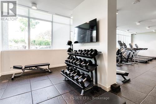 513 - 10 Deerlick Court, Toronto, ON - Indoor Photo Showing Gym Room