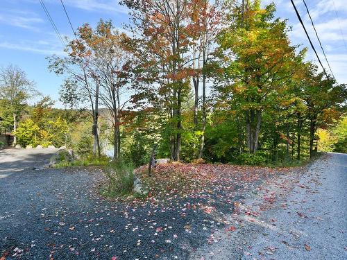 Land/Lot - 1994 Mtée Des Quatre-Lacs, Saint-Adolphe-D'Howard, QC - Outdoor