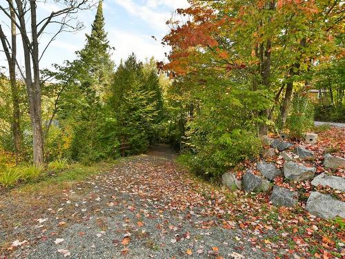 Land/Lot - 1994 Mtée Des Quatre-Lacs, Saint-Adolphe-D'Howard, QC - Outdoor