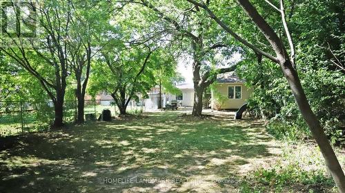 177 Maple Avenue, Richmond Hill, ON - Outdoor