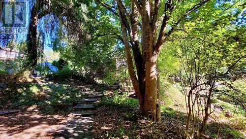 2010 Creek Street, Nelson, BC - Outdoor