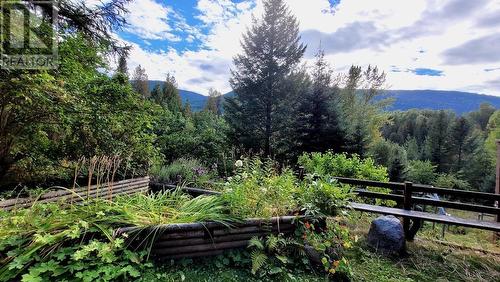 2010 Creek Street, Nelson, BC - Outdoor With View