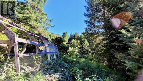 2010 Creek Street, Nelson, BC - Outdoor