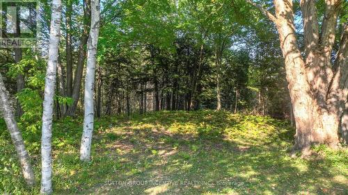 5450 Highway 11 S, Oro-Medonte, ON - Outdoor With View