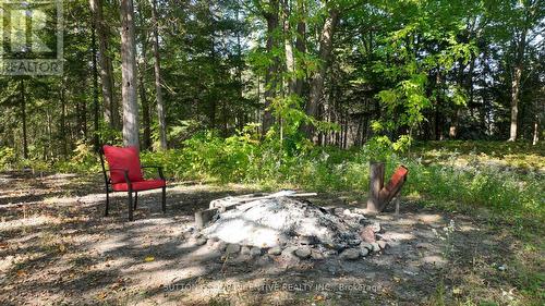 5450 Highway 11 S, Oro-Medonte, ON - Outdoor