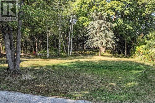 5450 Highway 11 S, Oro-Medonte, ON - Outdoor With View