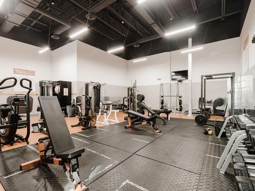 Exercise room - Ph703-3810 Rue St-Antoine O., Montréal (Le Sud-Ouest), QC - Indoor Photo Showing Gym Room