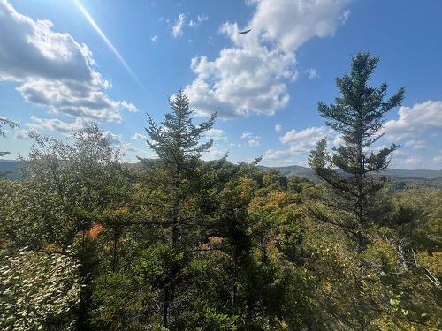 Vue - Ch. De La Lisière, Sainte-Adèle, QC 