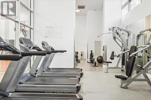 201 - 15 Brunel Court, Toronto (Waterfront Communities), ON - Indoor Photo Showing Gym Room