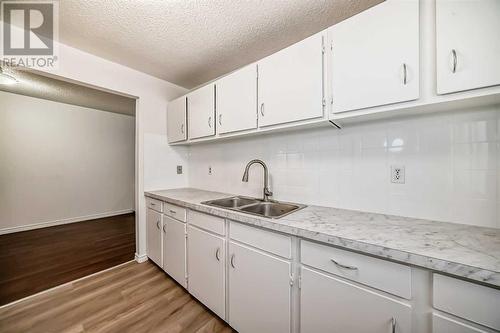 6303 Penbrooke Drive Se, Calgary, AB - Indoor Photo Showing Kitchen With Double Sink