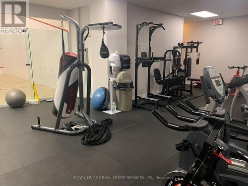 721 - 250 Manitoba Street, Toronto (Mimico), ON - Indoor Photo Showing Gym Room